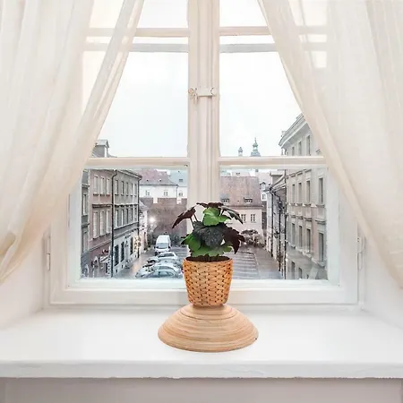 Apartment Chopin In Love *